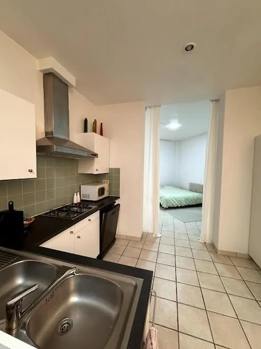 Appartement In Herenhuis Antwerpen-Zuid Antwerp