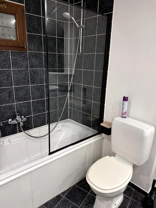 Appartement In Herenhuis Antwerpen-Zuid